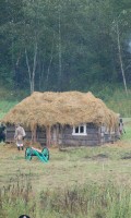 Бородино 2013 года Бородино 2013 года
