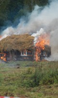 Бородино 2013 года Бородино 2013 года