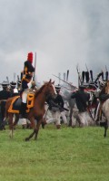 Бородино 2013 года Бородино 2013 года